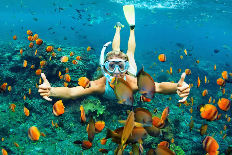 Snorkeling excursion image for day trips and activities